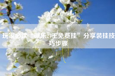 玩家必读“微乐27王免费挂”分享装挂技巧步骤