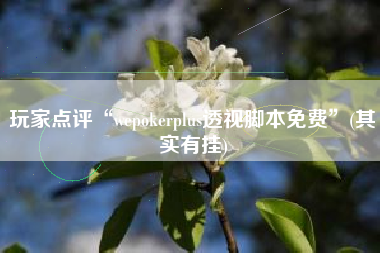 玩家点评“wepokerplus透视脚本免费	”(其实有挂)