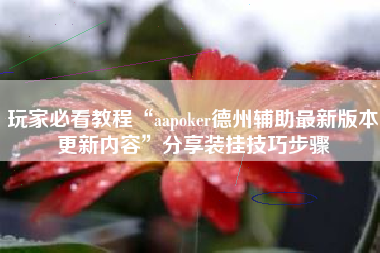 玩家必看教程“aapoker德州辅助最新版本更新内容”分享装挂技巧步骤