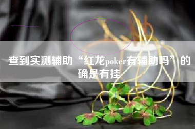 查到实测辅助“红龙poker有辅助吗”的确是有挂