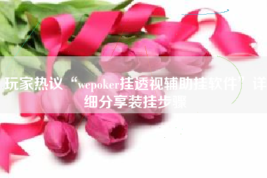 玩家热议“wepoker挂透视辅助挂软件”详细分享装挂步骤 玩家热议“wepoker挂透视辅助挂软件”详细分享装挂步骤