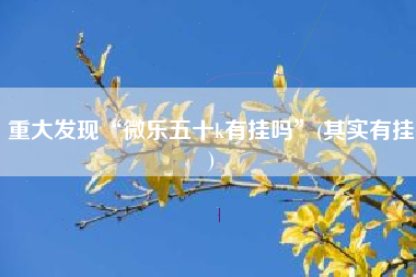 重大发现“微乐五十k有挂吗	”(其实有挂)