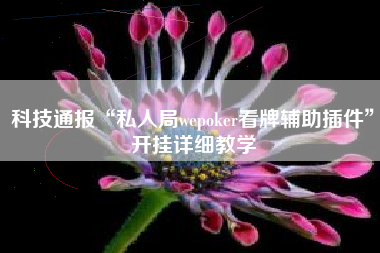 科技通报“私人局wepoker看牌辅助插件”开挂详细教学 科技通报“私人局wepoker看牌辅助插件”开挂详细教学