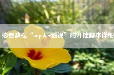 必看教程“uupoker透视”附开挂脚本详细