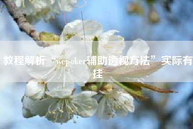 教程解析“wepoker辅助透视方法	”实际有挂