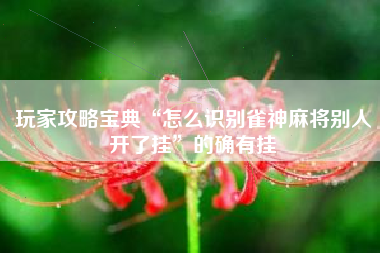 玩家攻略宝典“怎么识别雀神麻将别人开了挂”的确有挂