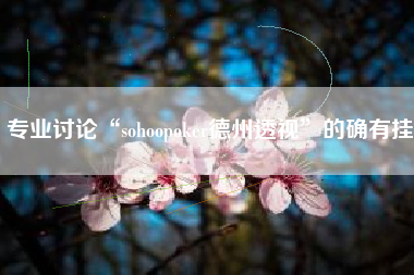 专业讨论“sohoopoker德州透视”的确有挂