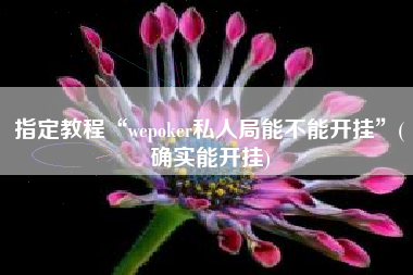 指定教程“wepoker私人局能不能开挂	”(确实能开挂)