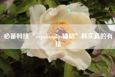 必备科技“wepokerplus辅助	”其实真的有挂