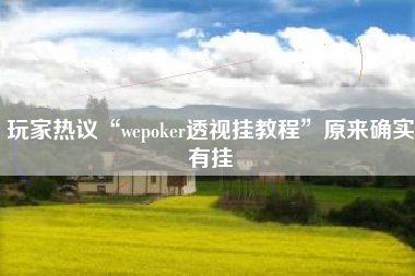 玩家热议“wepoker透视挂教程”原来确实有挂 玩家热议“wepoker透视挂教程”原来确实有挂