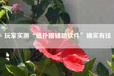 玩家实测“德扑圈辅助软件”确实有挂