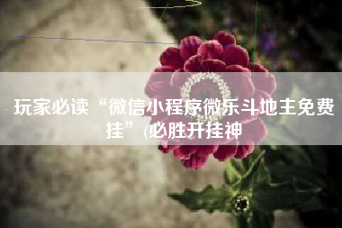 玩家必读“微信小程序微乐斗地主免费挂”(必胜开挂神