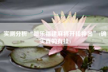 实测分析“微乐福建麻将开挂神器	”(确实真的有挂)