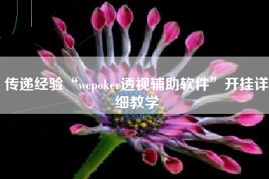传递经验“wepoker透视辅助软件”开挂详细教学