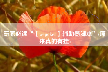 玩家必读“【wepoker】辅助器脚本	”(原来真的有挂)