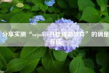 分享实测“wepoker开挂辅助软件	”的确是有挂