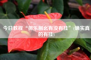 今日教程“微乐刨幺有没有挂	”(确实真的有挂)