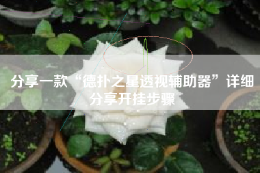 分享一款“德扑之星透视辅助器	”详细分享开挂步骤