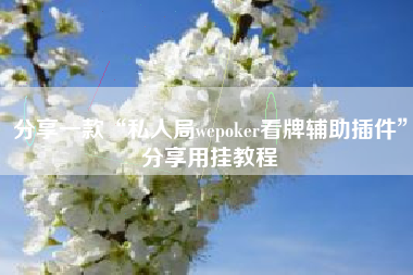 分享一款“私人局wepoker看牌辅助插件”分享用挂教程