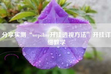 分享实测“wepoker开挂透视方法”开挂详细教学