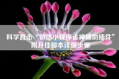 科学直击“微信小程序雀神辅助插件	”附开挂脚本详细步骤