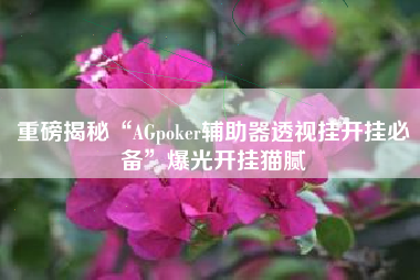 重磅揭秘“AGpoker辅助器透视挂开挂必备	”爆光开挂猫腻