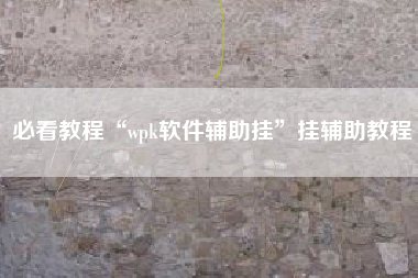 必看教程“wpk软件辅助挂”挂辅助教程