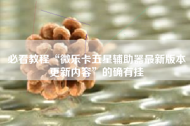 必看教程“微乐卡五星辅助器最新版本更新内容	”的确有挂