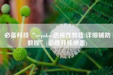 必备科技“wepoker透视作弊挂!详细辅助教程”(必胜开挂神器) 必备科技“wepoker透视作弊挂!详细辅助教程”(必胜开挂神器)