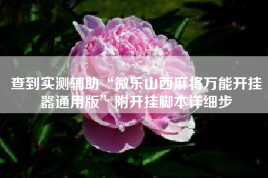 查到实测辅助“微乐山西麻将万能开挂器通用版”附开挂脚本详细步