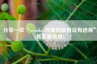 分享一款“wepoker究竟到底有没有透视”(其实是有挂)
