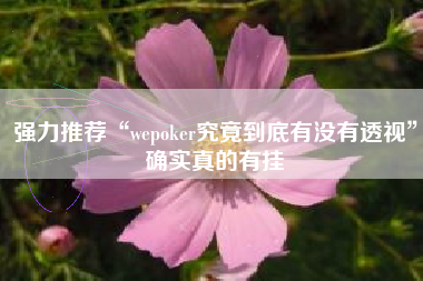 强力推荐“wepoker究竟到底有没有透视”确实真的有挂