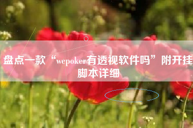 盘点一款“wepoker有透视软件吗”附开挂脚本详细