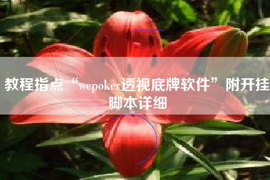 教程指点“wepoker透视底牌软件”附开挂脚本详细