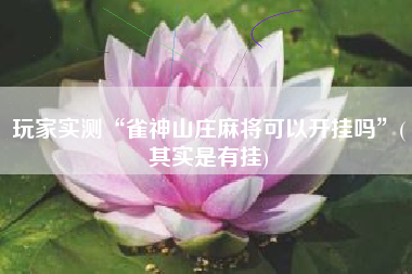 玩家实测“雀神山庄麻将可以开挂吗”(其实是有挂)