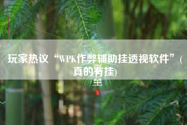 玩家热议“WPK作弊辅助挂透视软件”(真的有挂)