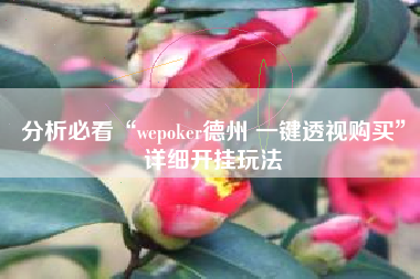分析必看“wepoker德州 一键透视购买”详细开挂玩法