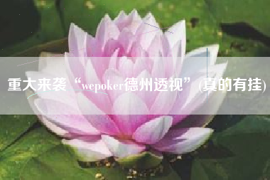 重大来袭“wepoker德州透视”(真的有挂)