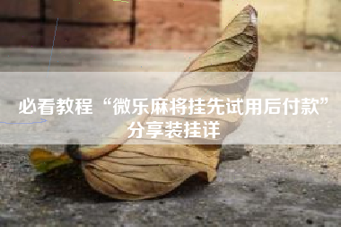 必看教程“微乐麻将挂先试用后付款”分享装挂详