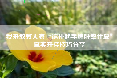 我来教教大家“德扑起手牌胜率计算	”真实开挂技巧分享