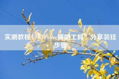 实测教程“WePoker辅助工具	”分享装挂步骤