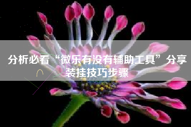 分析必看“微乐有没有辅助工具”分享装挂技巧步骤