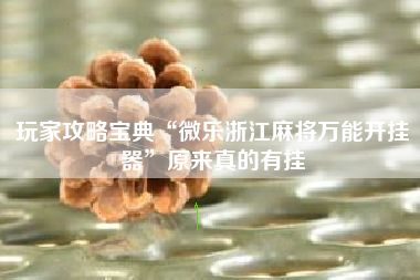 玩家攻略宝典“微乐浙江麻将万能开挂器”原来真的有挂