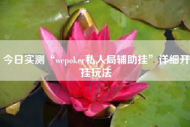 今日实测“wepoker私人局辅助挂	”详细开挂玩法