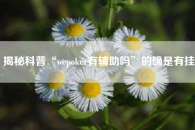 揭秘科普“wepoker有辅助吗	”的确是有挂