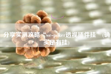分享实测攻略“we-poker透视插件挂”(确实是有挂)