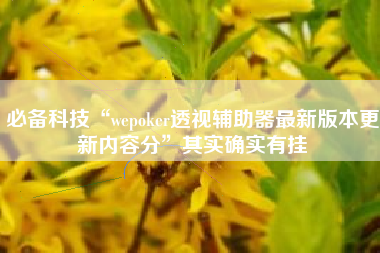 必备科技“wepoker透视辅助器最新版本更新内容分”其实确实有挂