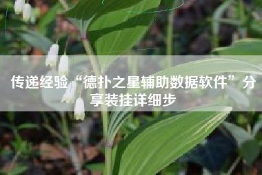 传递经验“德扑之星辅助数据软件”分享装挂详细步