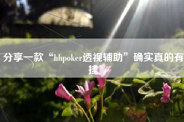 分享一款“hhpoker透视辅助”确实真的有挂