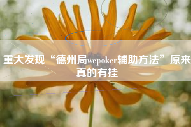 重大发现“德州局wepoker辅助方法”原来真的有挂